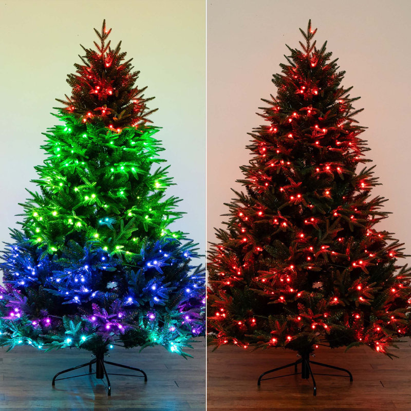 7ft. Pre-Lit Artificial Edmonton Fir Light Show Memory Shape Christmas Tree, 6'