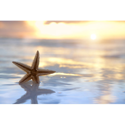 " Starfish "