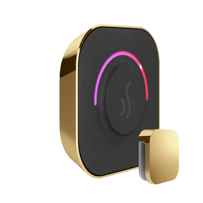 Tempotouch steam shower control and steamhead , Polished Brass