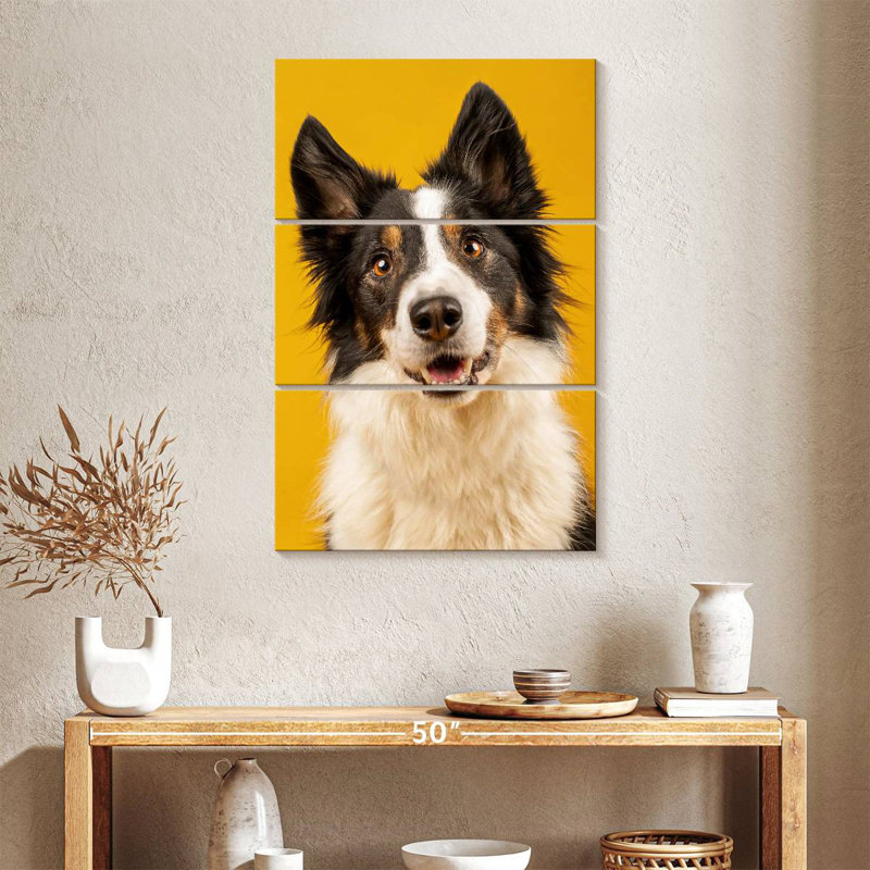 Brampt Adorable Border Collie, 32" H x 20" W