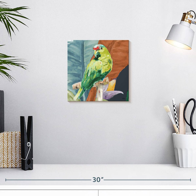 Brampt, perroquet tropical, H 10 po x l 10 po