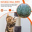 Arbre à chat, support pour chat, tour à chat, poteau à griffer durable et plateforme de saut pour chat à plusieurs niveaux-2145475096