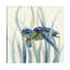 Turtle In Seagrass II by Nan - Wrapped Canvas Print-34181794
