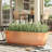 Cohen Window Box Planter