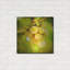 Winston Porter «Spring Fruit» par Jessica Rogers, art mural en métal-394158968