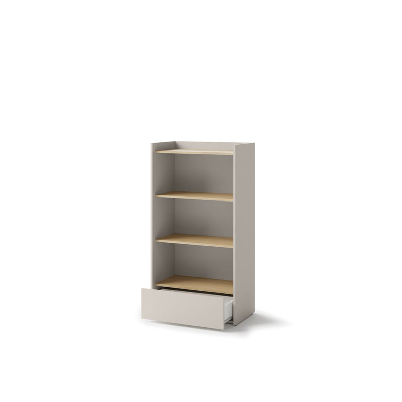 Anjuman 132cm H x 70cm W Standard Bookcase