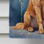 Drapeau «Happy Birthday House»-112736419