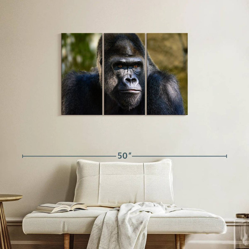 Mountain Gorilla, 24" H x 38" W