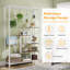 Altonya Plant Stand-758624425