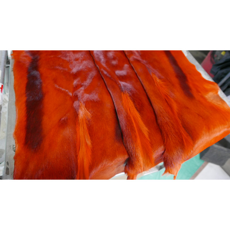 Burnt Orange Dyed Springbok Skin