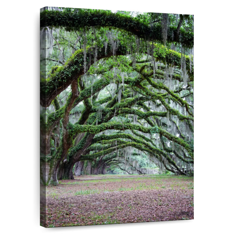 Harnek Oak Tree Arches, 36" H x 24" W