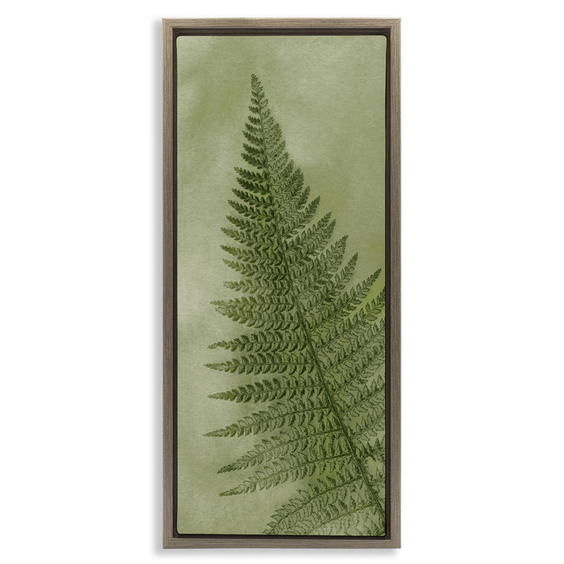 Feuille de fougère verte détaillée, Cadre flottant orme Montalcino, H 31 po x l 15 po