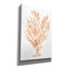 «Shibori Coral 4 Peach» par Mary Urban, art mural sur toile-1491376382