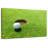 Sireci Golf Missed Shot-108800956