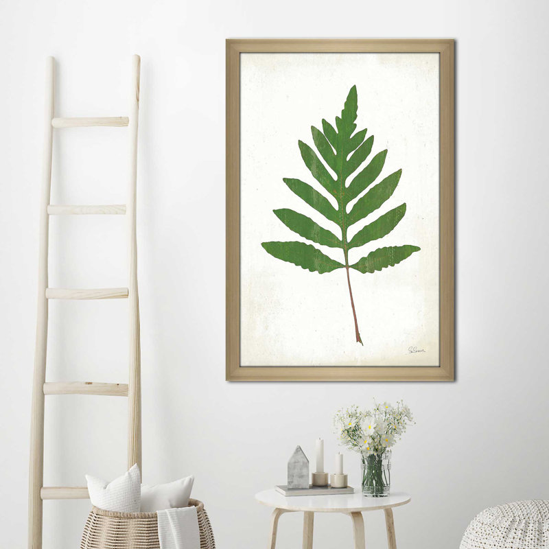 «Chalkboard Fern Green I» par Sue Schlabach - impression, Encadrement champagne, H 27,5 po x l 21,5 po x P 0,75 po