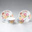Ensemble de 2 tasses et soucoupes Bone China Garden Splendor