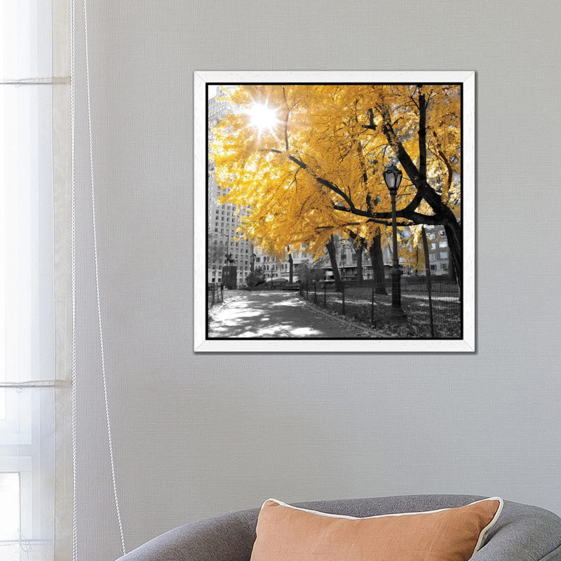 Park Pretty by Amanda J. Brooks - Print on Canvas, 93.98 cm H x 93.98 cm W, White Framed