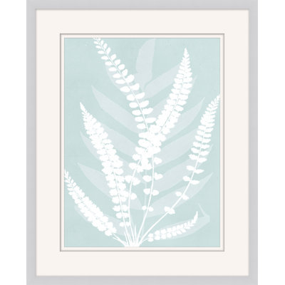 Delicate Fern Assimilation 3 Print