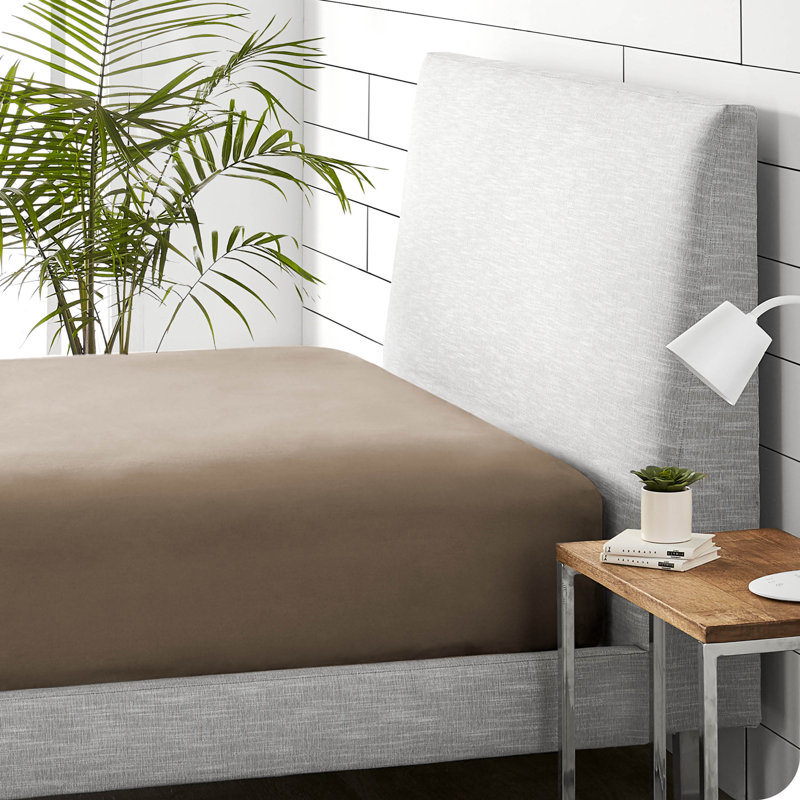 Split-King 100% Cotton Fitted Sheet, Taupe