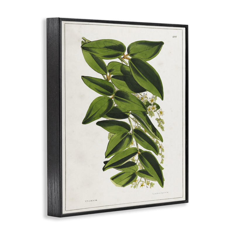 «Giclee Art» par Tina Higgins Designs, Inc., Giclée encadrée noir minuit, H 20 po x l 16 po
