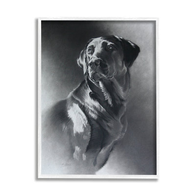 " Charcoal Pencil Labrador Dog Portrait Vintage Pet " by Cole Johnson