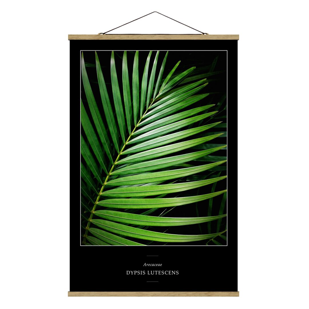 Stoffbild Tropical Palm Leaf