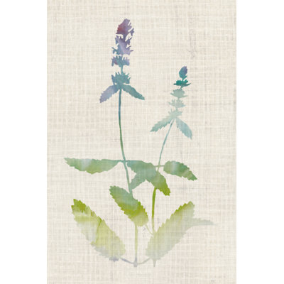 Plants IV by Naomi McCavitt - Wrapped Canvas Painting