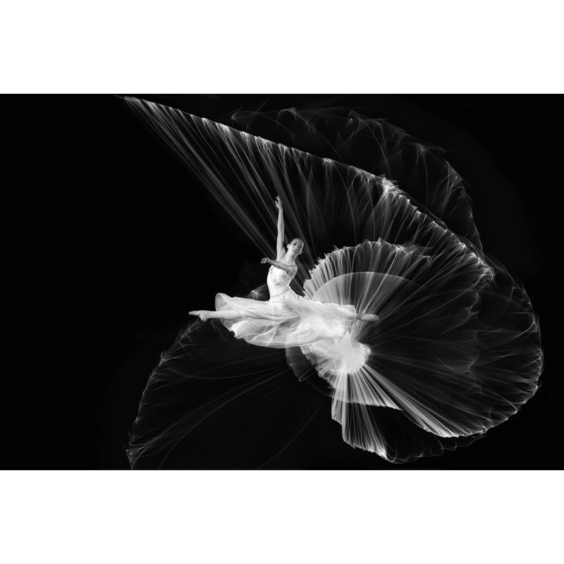 Wrapped Canvas Print, 50.8 cm H x 76.2 cm W