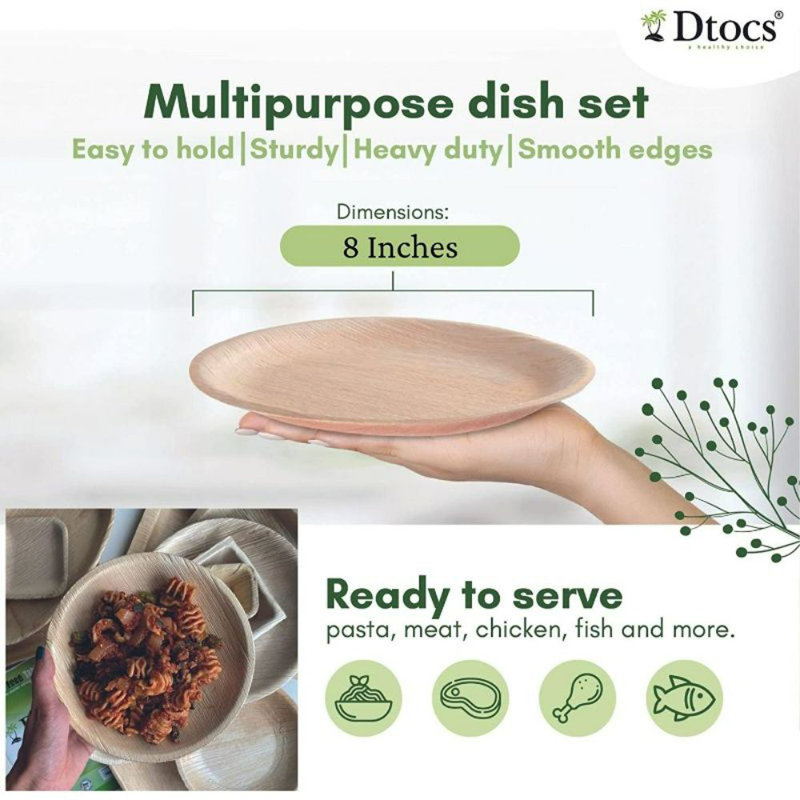 Disposable Birthday Dinner Plate