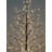 Black Birch Tree with LED Lights Indoor Use Only-103967514