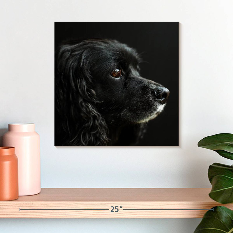 Cocker Spaniel Portrait, 16" H x 16" W