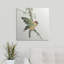 Ayled " Formosan Firecrest " by Chris Paschke-19350290-26547500