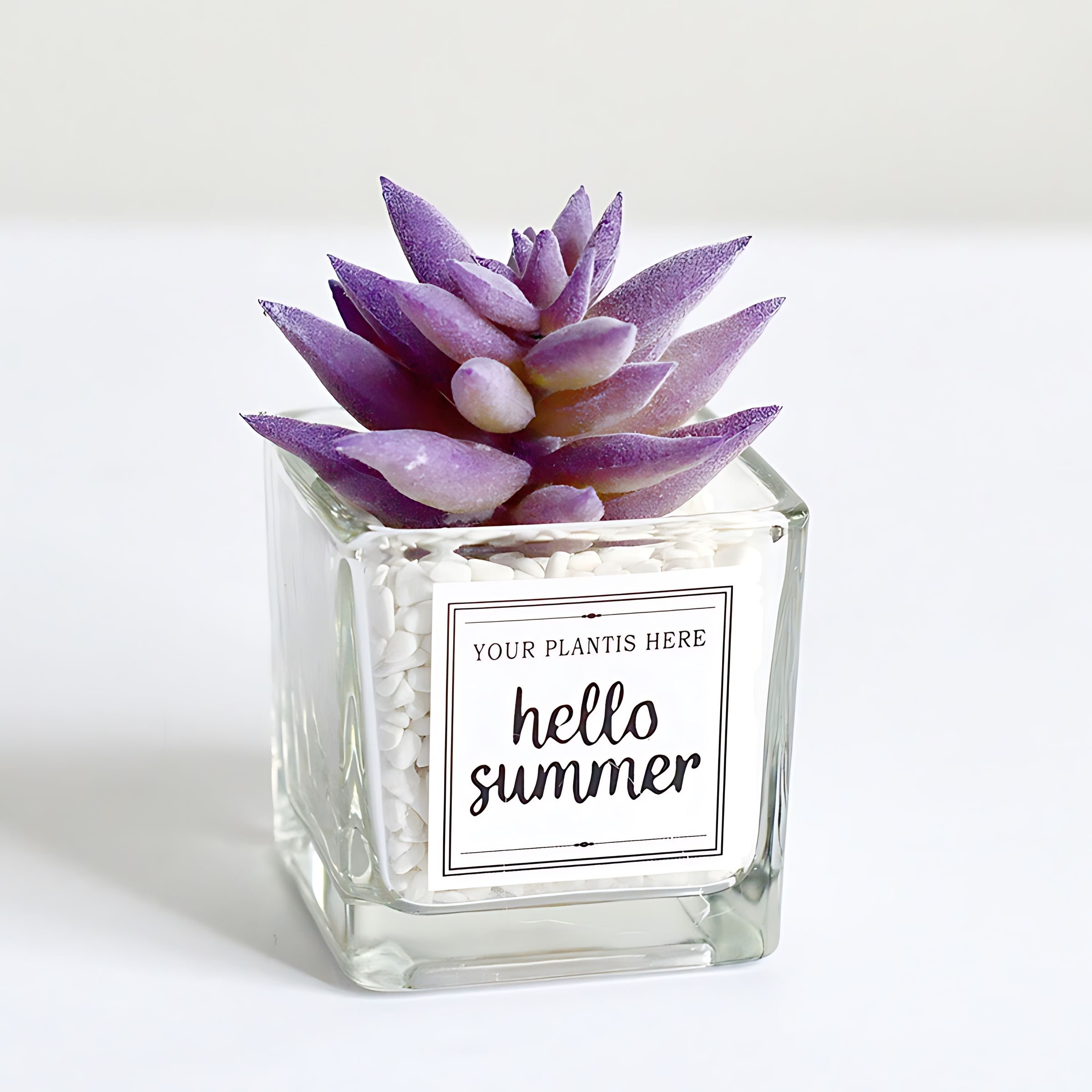 Primrue Nordic Simulation Green Plant Cactus Succulent Artificial Flower Decoration Ornament Living Room Decoration Office Desktop Small Potted Plant - Wayfair Canada