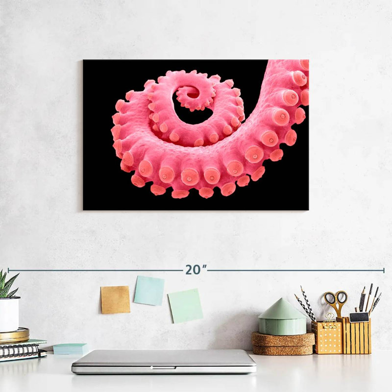 Brampt Pink Octopus Tentacle, 8" H x 12" W