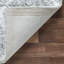 Tapis gris / ivoire Paris-25400700