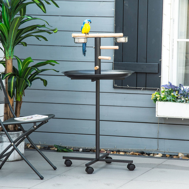 Perchoir portatif, quatre roues, bols en acier inoxydable, gris, support à oiseaux pratique avec alimentation ergonomique