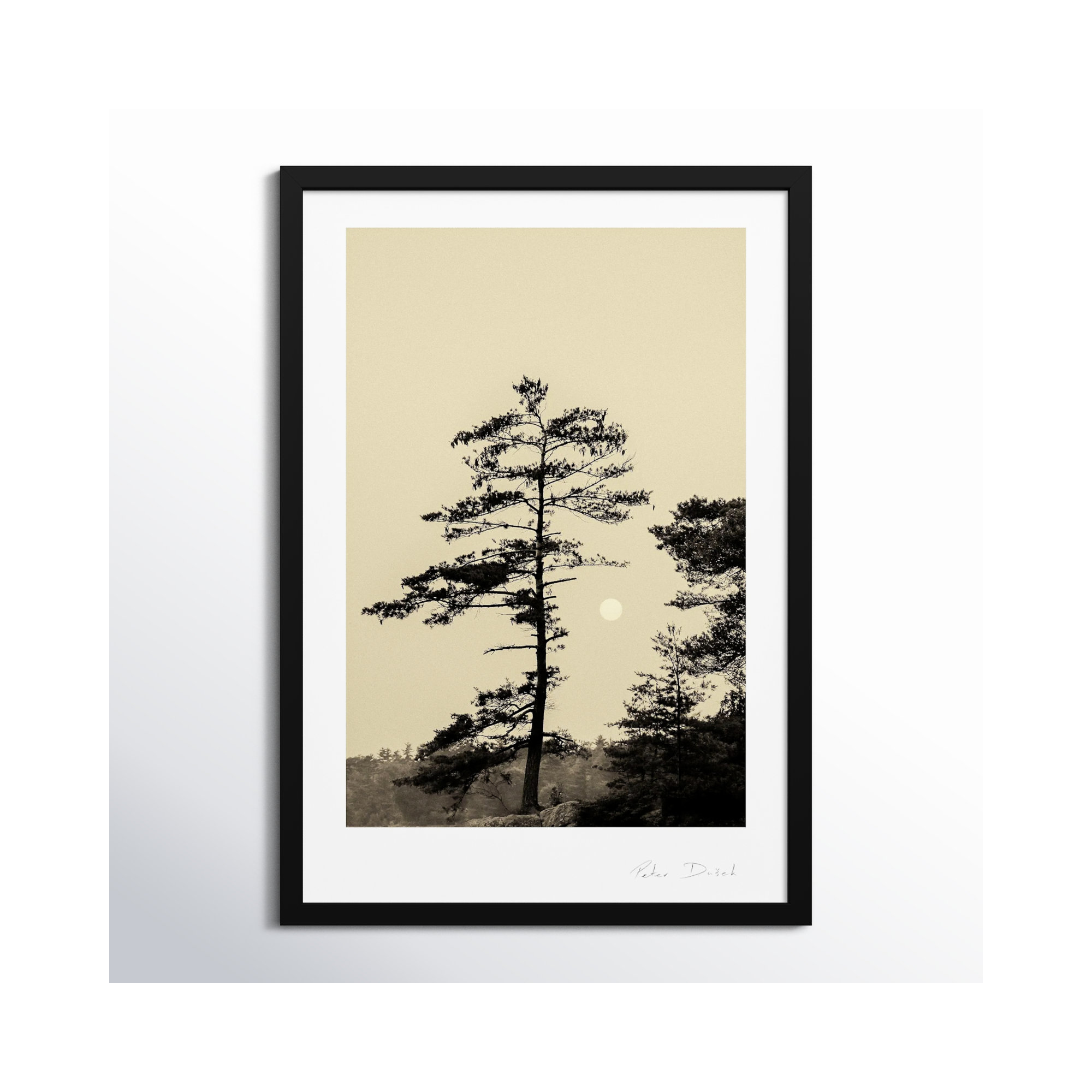 Serenity by Peter Dušek, 50" H x 35" W x 1.25" D, Black