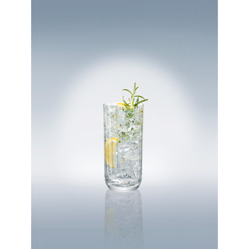 Villeroy & Boch Rose Garden Collection Long Drink Glass, Set of 4, 10 oz, Crystal Glass, Made in Europe