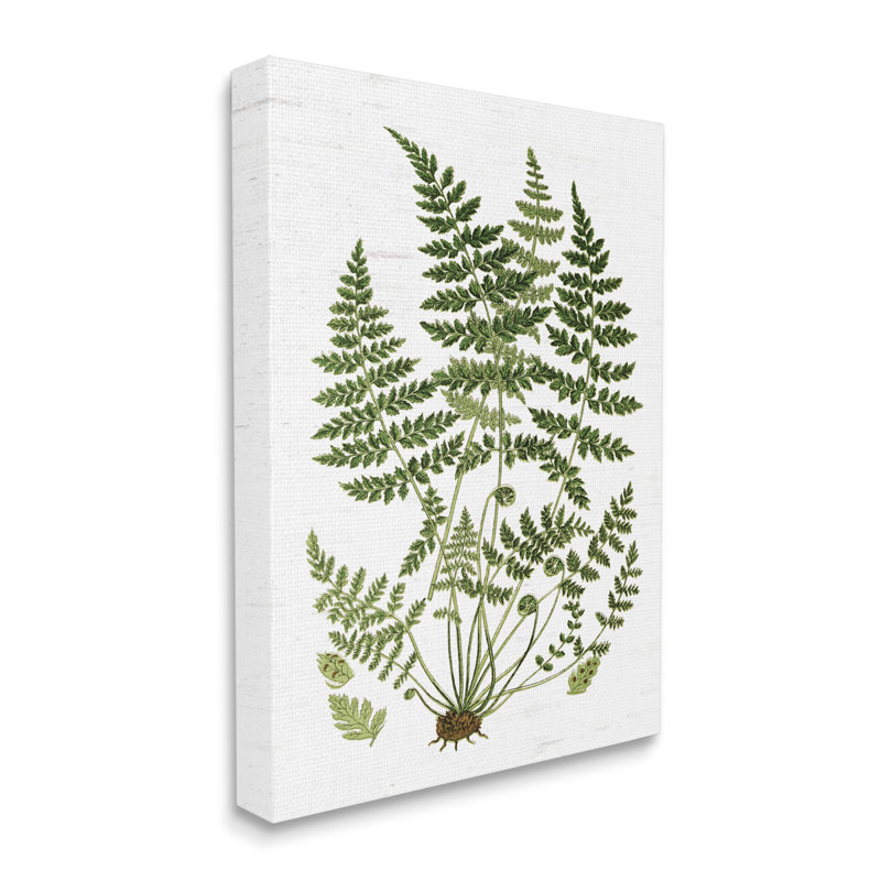 Forest Botanicals, Toile tendue, H 40 po x l 30 po