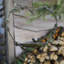 Amonette Metal Hanging Tray Bird Feeder