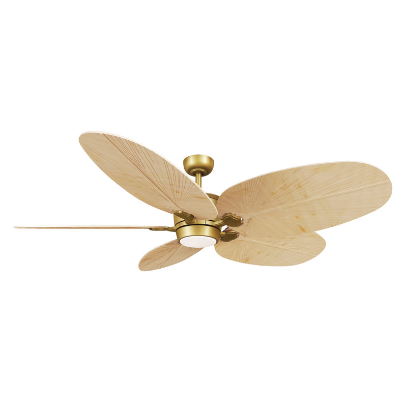 Ventilateur de plafond intelligent DEL 60 "Portesa, Brass