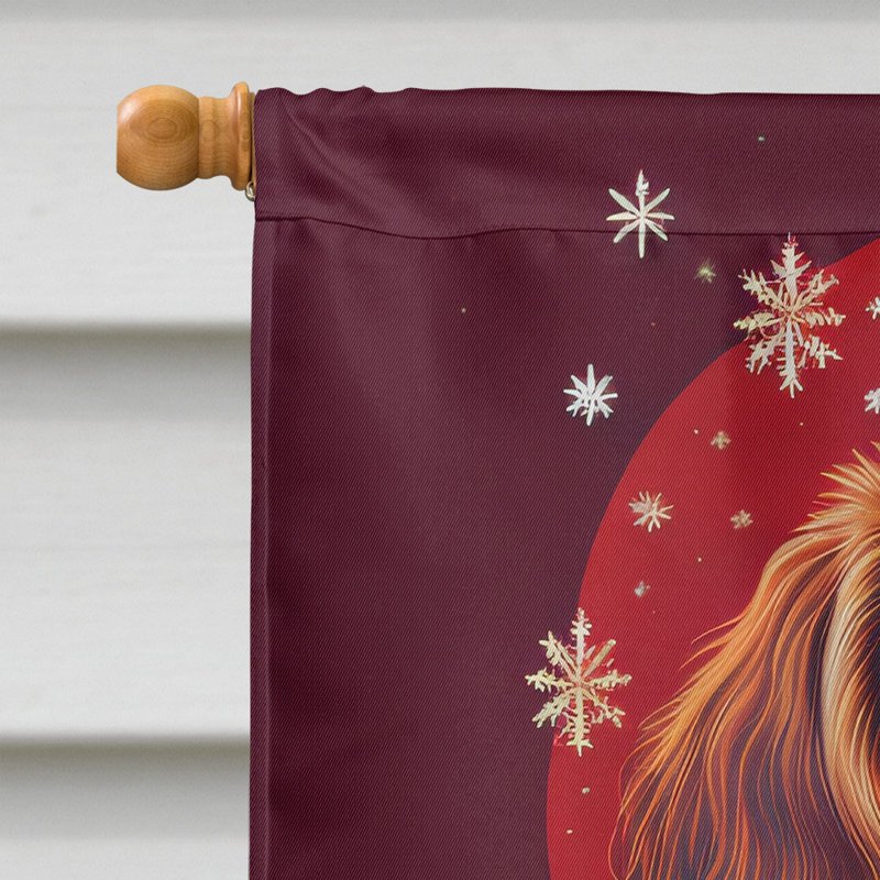 Drapeau de maison de Noël en polyester double face H 40 po x l 28 po