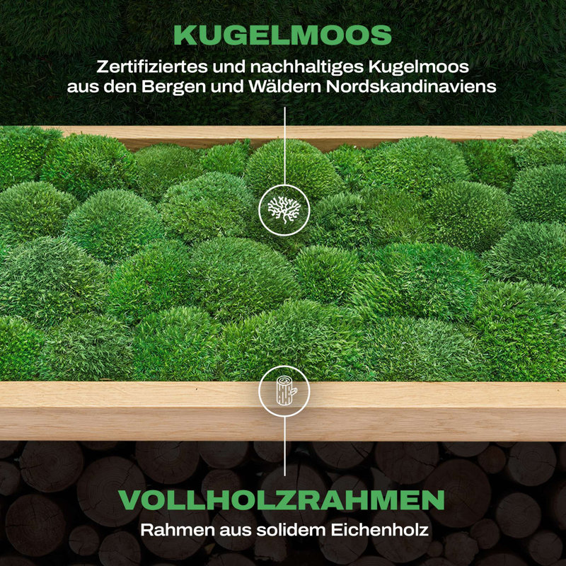 Moosbild Islandmoos Wall Décor, Oak
