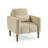 ANDYDECO Modern Style Accent Chair-116326930
