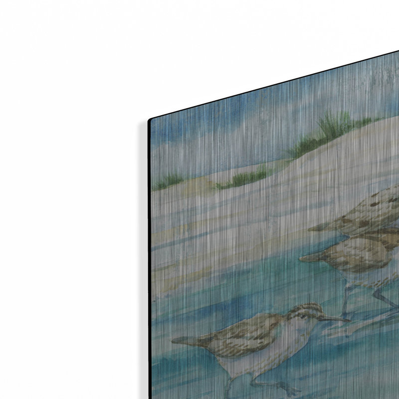 «Sandy Sandpipers I» par Paul Brent, H 16 po x l 24 po