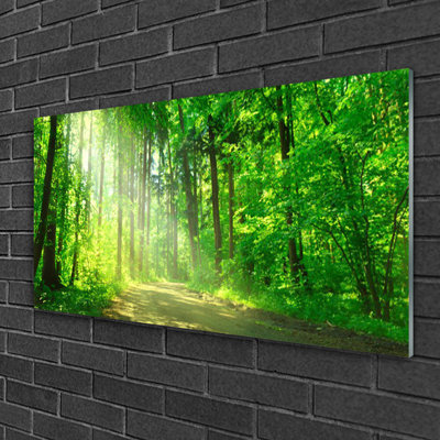 Forest 1 Piece Wall Art on Glass