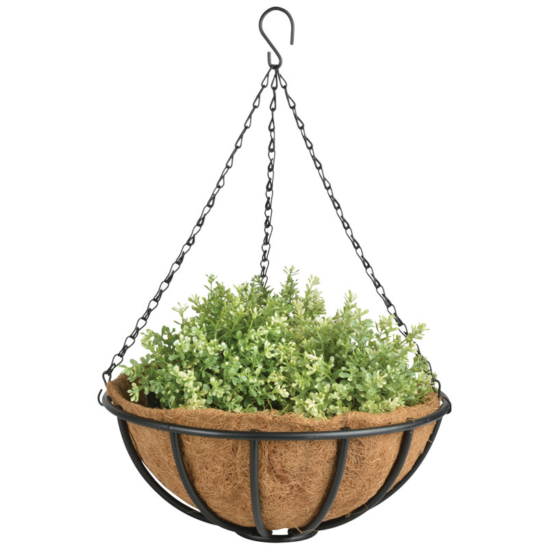 14" Hanging Basket