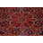 Vegetable Dye   Large Rug 11x15