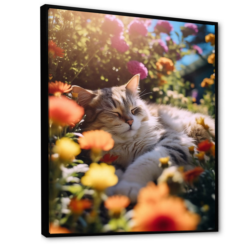 «Fluffy Cat Sleeping Sunny Flower Garden I», reproduction sur toile, H 44 po x l 34 po x P 1,5 po, Cadre flottant noir