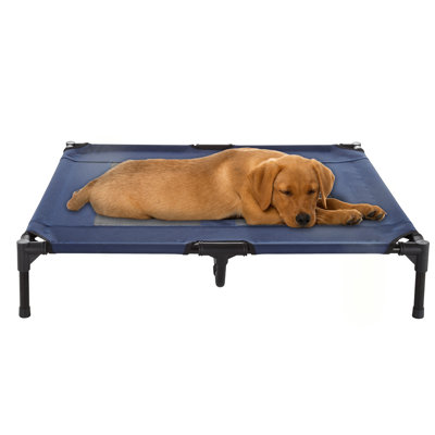 Lit pour chien surélevé de 36 po x 29,75 po PETMA PETER - Bleu